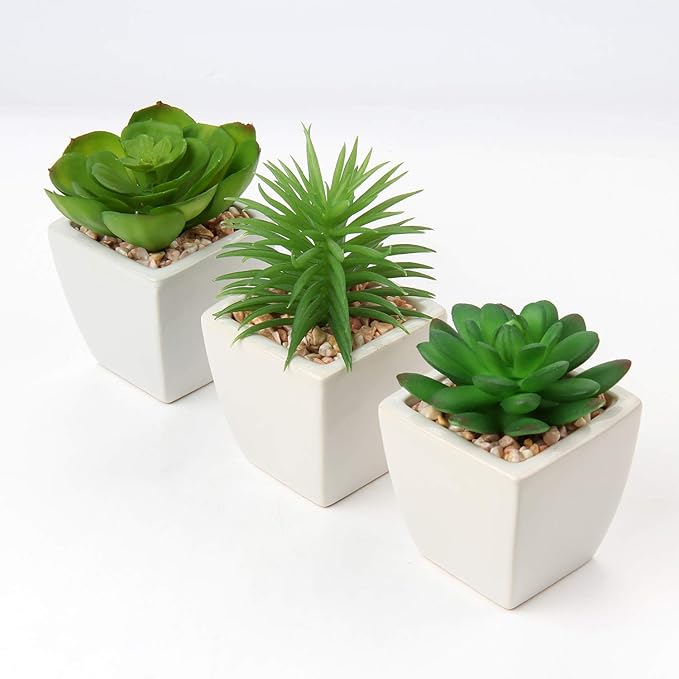 Hollyone Succulents Plants Artificial 3Pcs Small Fake Succulents in Pots Faux Plastic Potted Plants with White Ceramic Pot for Home Decor Classroom Office Bathroom Shelf Indoor & Outdoor Decorations