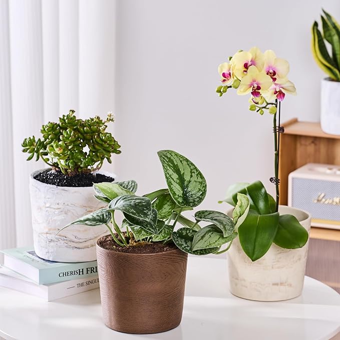 Ekirlin 7 inch Plant Pot, Resin Mahogany Texture Flower Planters with Drain Hole, Removable Rubber Stopper and Non-Slip Soft Pad - for Most Plants and Flowers