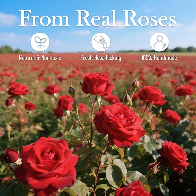 27 Forever Roses in Luxury White Box, Eternal Real Roses Birthday Gifts for Women, Preserved Flowers for Delivery Prime, Anniversary, Valentine's Day, Mothers Day for Mom (Pink)