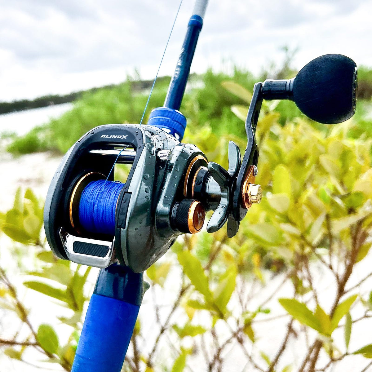 Piscifun Alinox 300 Baitcaster Fishing Reel,Aluminum Frame Baitcasting Reel, 33Lbs Max Drag, 6.6:1 Gear Ratio, Freshwater & Saltwater Low Profile Casting Reel for Musky (Right Handed)