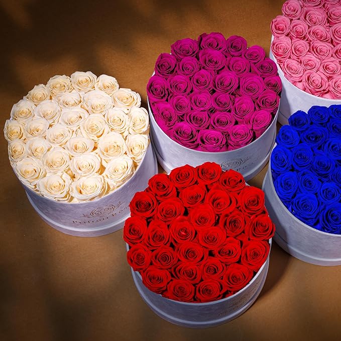 27 Flowers in a Luxury Suede Box, Birthday Gifts for Women, Preserved Flowers, Mothers Day Roses Gift for Mom, Red