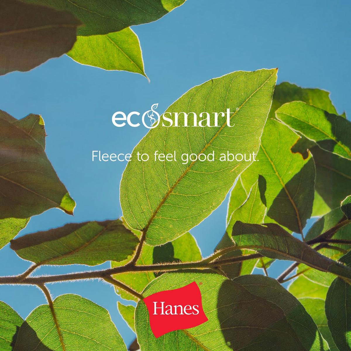 Hanes Men's EcoSmart Open Leg Pant with Pockets, Navy, L
