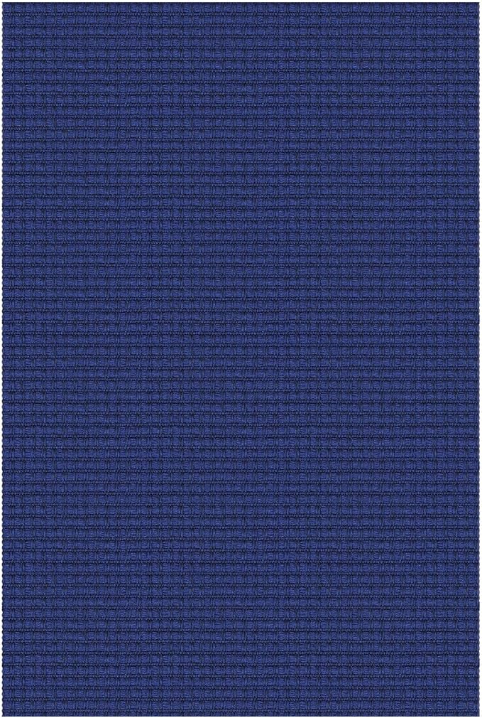 IOHOUZE Small Area Rug 2x3 Washable Woven Rugs for Entryway Non Slip Rubber Backed Front Door Rugs Indoor Doormat Throw Rug Floor Carpet for Entrance Kitchen, Royal Blue/Navy