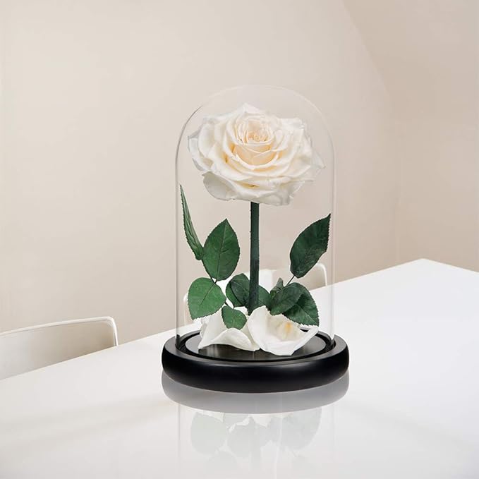 Preserved Roses White Roses Handmade Rose in Glass Dome, Preserved Flowers Never Withered Romantic Gifts for Her, Mother's Day, Birthday Gifts for Women (9 inch)