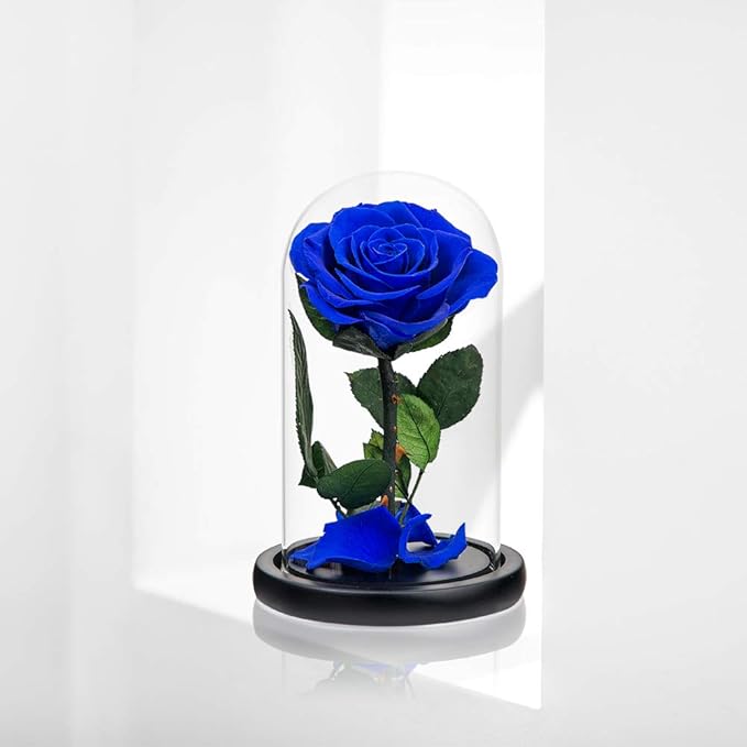 Preserved Roses Royal Blue Roses in Glass Dome, Medium, Preserved Flowers for Women