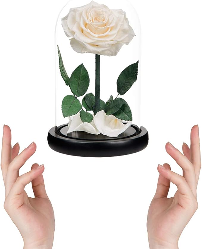 Preserved Roses White Roses Handmade Rose in Glass Dome, Preserved Flowers Never Withered Romantic Gifts for Her, Mother's Day, Birthday Gifts for Women (9 inch)