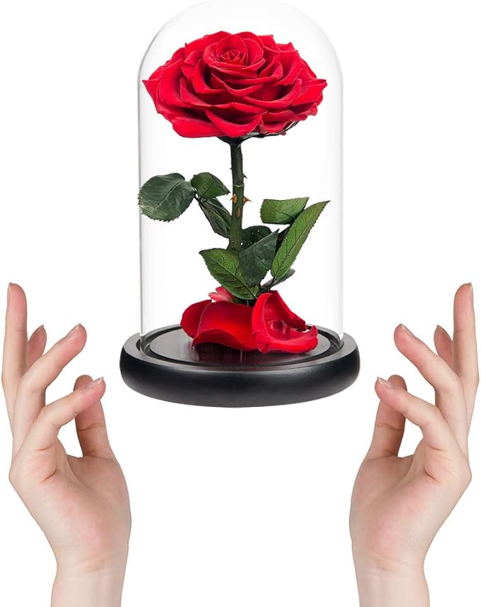 Red Roses Handmade Rose in Glass Dome, Preserved Flowers Never Withered Romantic Gifts for Her, Mother's Day, Birthday Gifts for Women