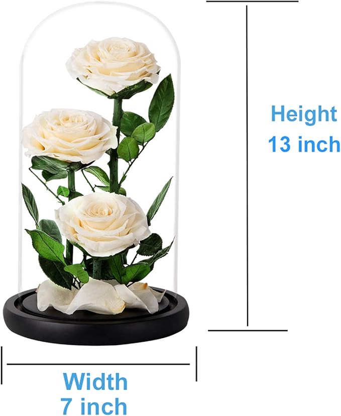 White Roses Handmade Preserved Rose in Glass Dome, Preserved Flowers Never Withered, Birthday Gifts for Women (13 inch)
