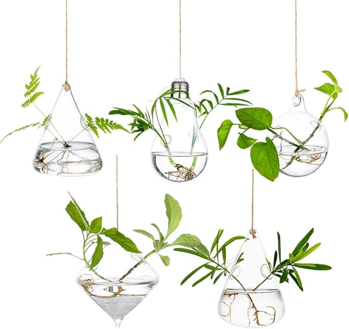 Glasseam Hanging Planters Glass Terrarium: 5Pcs Modern Plant Propagation Stations Hydroponic Wall Vases for Air Plants Flowers Indoor Window Home Decor