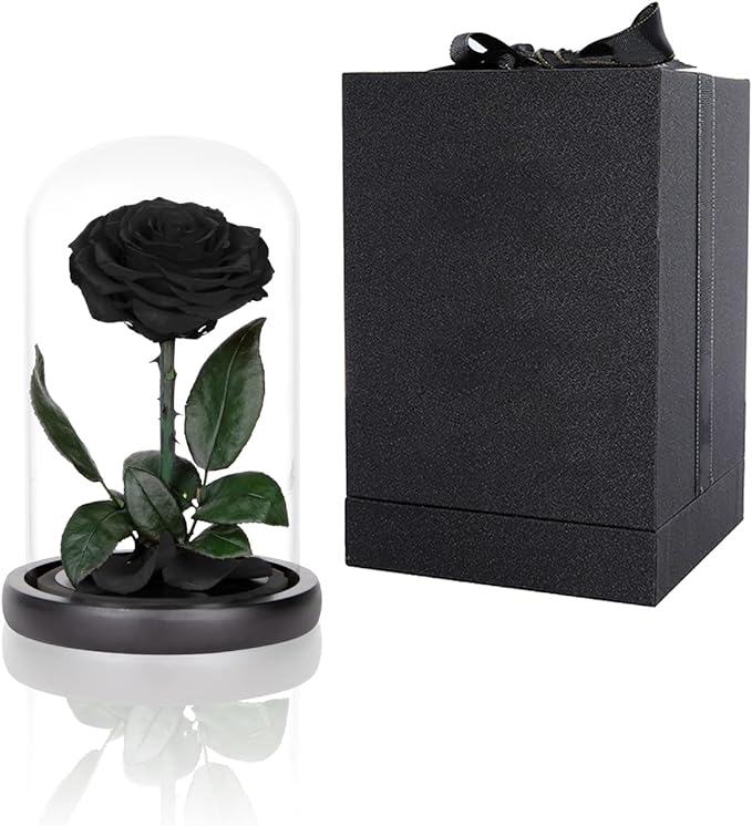 Preserved Roses Black Roses in Glass Dome, Medium, Preserved Flowers for Mothers Day, Gifts for Women