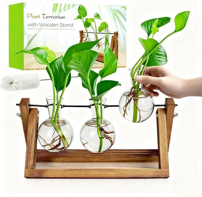 Plant Propagation Stations with Wooden Stand & 3 Glass Bulb Vases - Plant Terrarium for Indoor Plants, Home Office Desk Decor, Gardening Gifts for Women Mom, Birthday Gifts for Plants Lovers