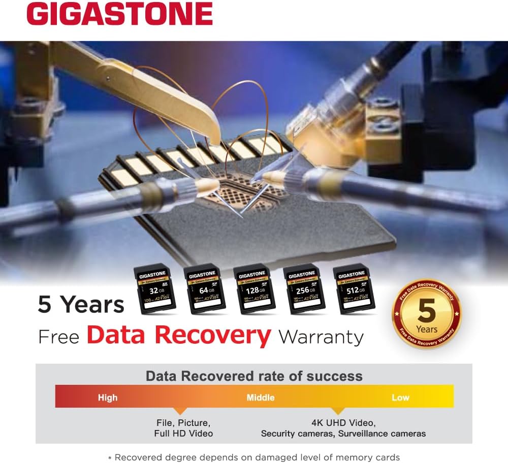 Gigastone 5-Years 64GB 4K A2 V30 U3 1 Data Recovery SD Card, Camera Extreme, SDXC Memory Card High Speed UHD Video