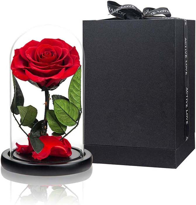 Preserved Roses Red Roses in Glass Dome, Medium, Preserved Flowers for Mothers Day, Gifts for Women