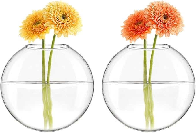 Mkono Wall Hanging Glass Terrariums Planter Oblate Flower Vase for Hydroponics Plants, Bathroom, Home Office Living Room Decor, Set of 6