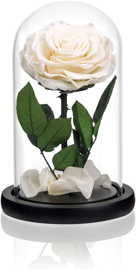 Preserved Flowers White Roses in Glass Dome, Preserved Rose Never Withered Flower Gifts for Her, Mother's Day, Birthday Gifts for Women