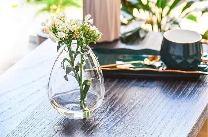 Kingbuy Wall Hanging Propagation Station Glass Plant Terrarium Container Egg Shape for Propagating Hydroponic Plants Home Office Garden Decor Wedding, 4 Pack