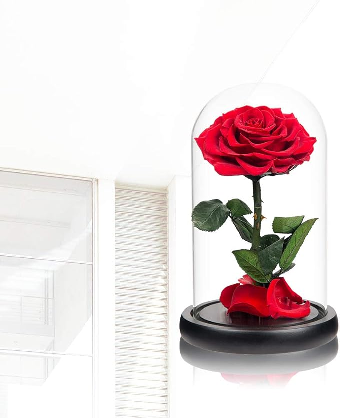 Red Roses Handmade Rose in Glass Dome, Preserved Flowers Never Withered Romantic Gifts for Her, Mother's Day, Birthday Gifts for Women