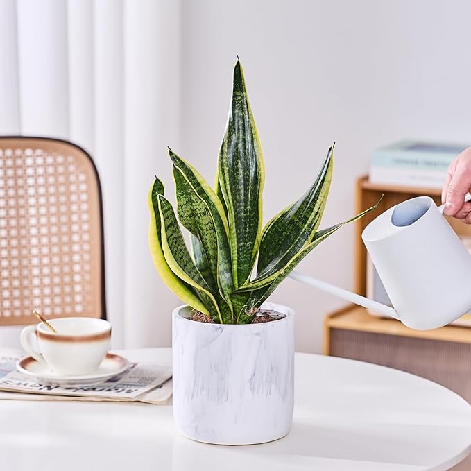 Ekirlin 6 Inch Resin Plant Pot Indoor - Natural Marble Texture Garden Planter with Drainage Hole, Removable Rubber Stopper and Non-Slip Soft Pad, Modern Succulents Containers for Home, Outdoor