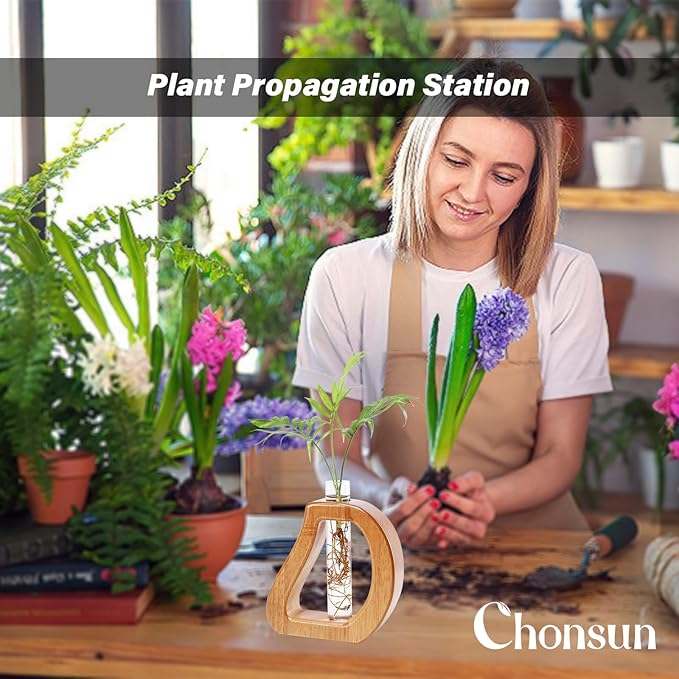 Plant Propagation Stations Wall Hanging Terrariums Home Decor Plants Glass Test Tube Planter with Wooden Stand for Plant Lover Gifts