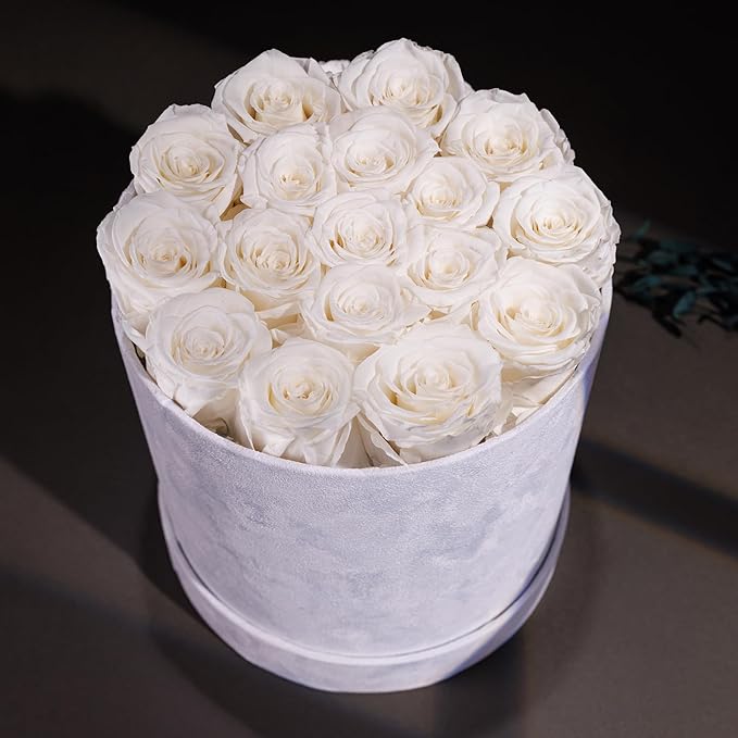 17 Flowers in a Luxury Suede Box, Birthday Gifts for Women, Preserved Flowers, Mothers Day Roses Gift for Mom, White