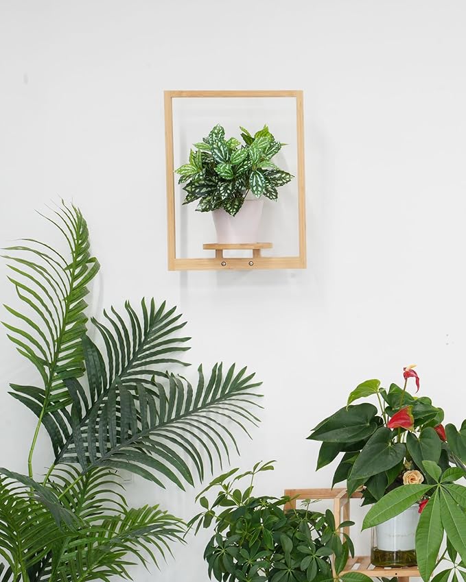 yadoker Wall Planters for Indoor Plants,Bamboo Hanging Plant Holders, Wall Decor Plant Stand, 1-Pack Window Plant Shelves for Living Room & Entryway