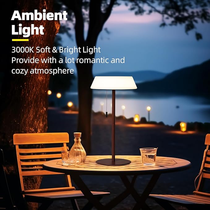 Solar LED Outdoor Table Lamp Waterproof, 3 Level Dimmable Desk Night Light, Portable Cordless USB Rechargeable, for Home/Deck/Patio/Garden (Bronze)