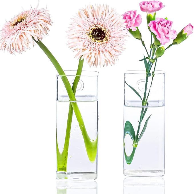Kingbuy Plant Terrarium Container Propagation Station Square Tube Vase Wall Hanging Glass Planter Indoor Hydroponic Plants Home Office Garden Decor, 4 Pack