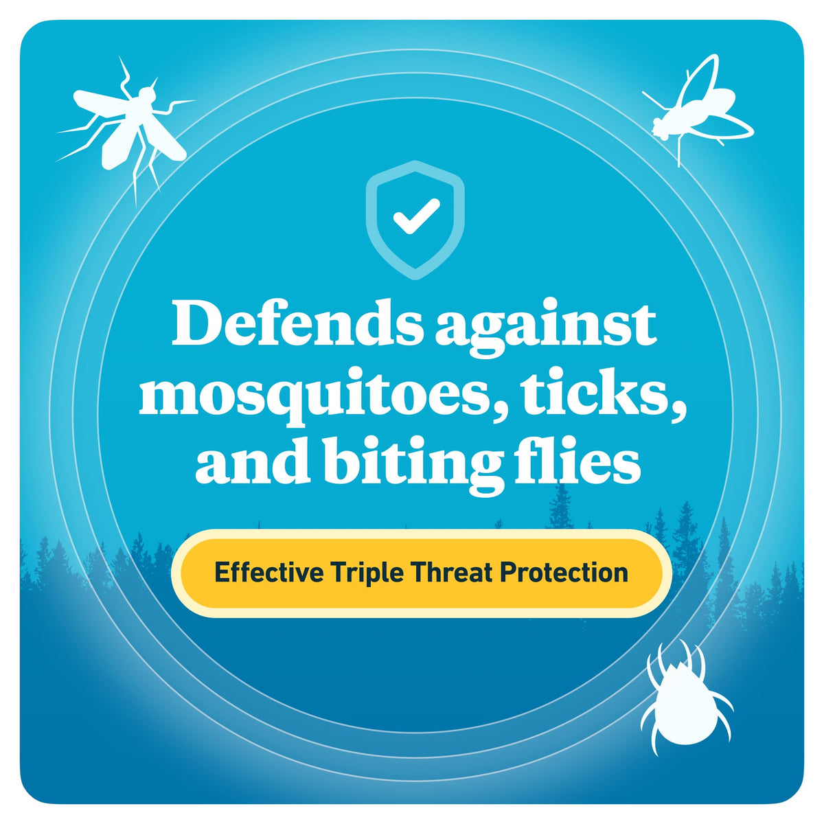 Sawyer Products SP544 Premium Insect Repellent with 20% Picaridin, Pump Spray, 4-Ounce