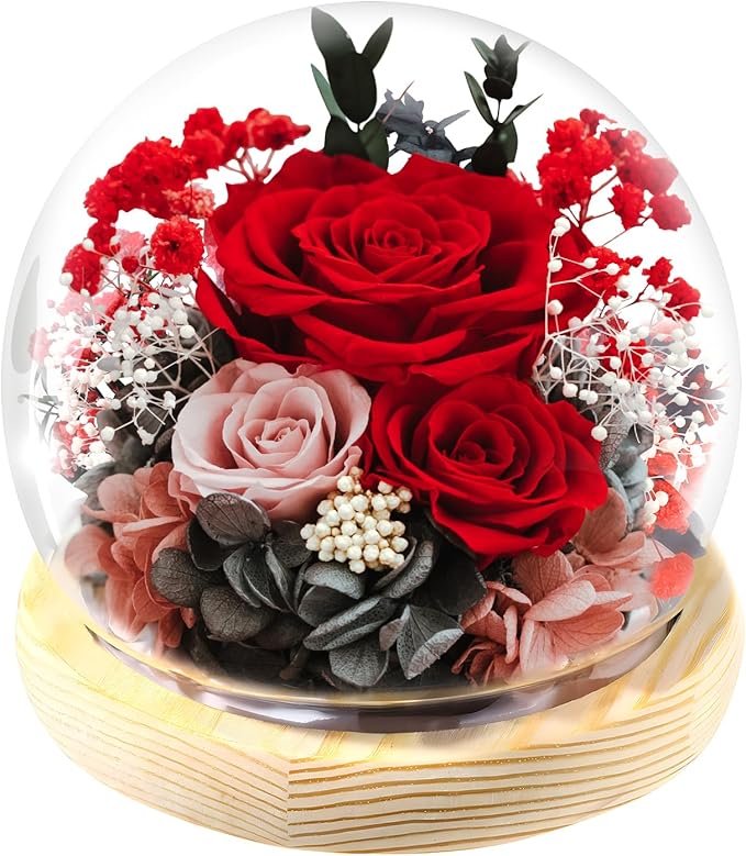 FIACO Preserved Rose Birthday Gift for Women Forever Fresh Flowers for Prime Delivery Gift for Mom Grandma Wife Valentines Mothers Day Christmas Anniversary Eternal Roses in Glass Dome
