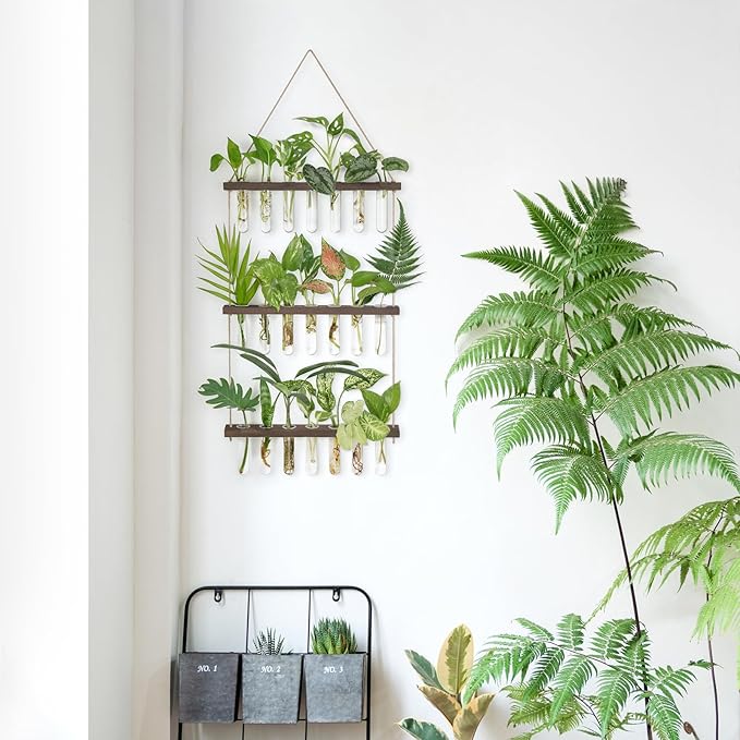 Mkono Plant Propagation Tubes, 3 Tiered Wall Hanging Terrarium with Wooden Stand & 21 Test Tube Vases for Hydroponic Plant Cutting & Home/Office Decor