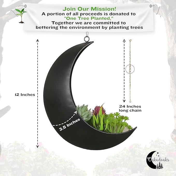 Hanging Moon Planter for Moon Room Decor - Great for Succulents, Air Plant, Mini Cactus, Faux, Artificial Plants-Boho Hanging Planters for Indoor Plants, Witchy Gifts for Women, Birthdays,Plant Lovers