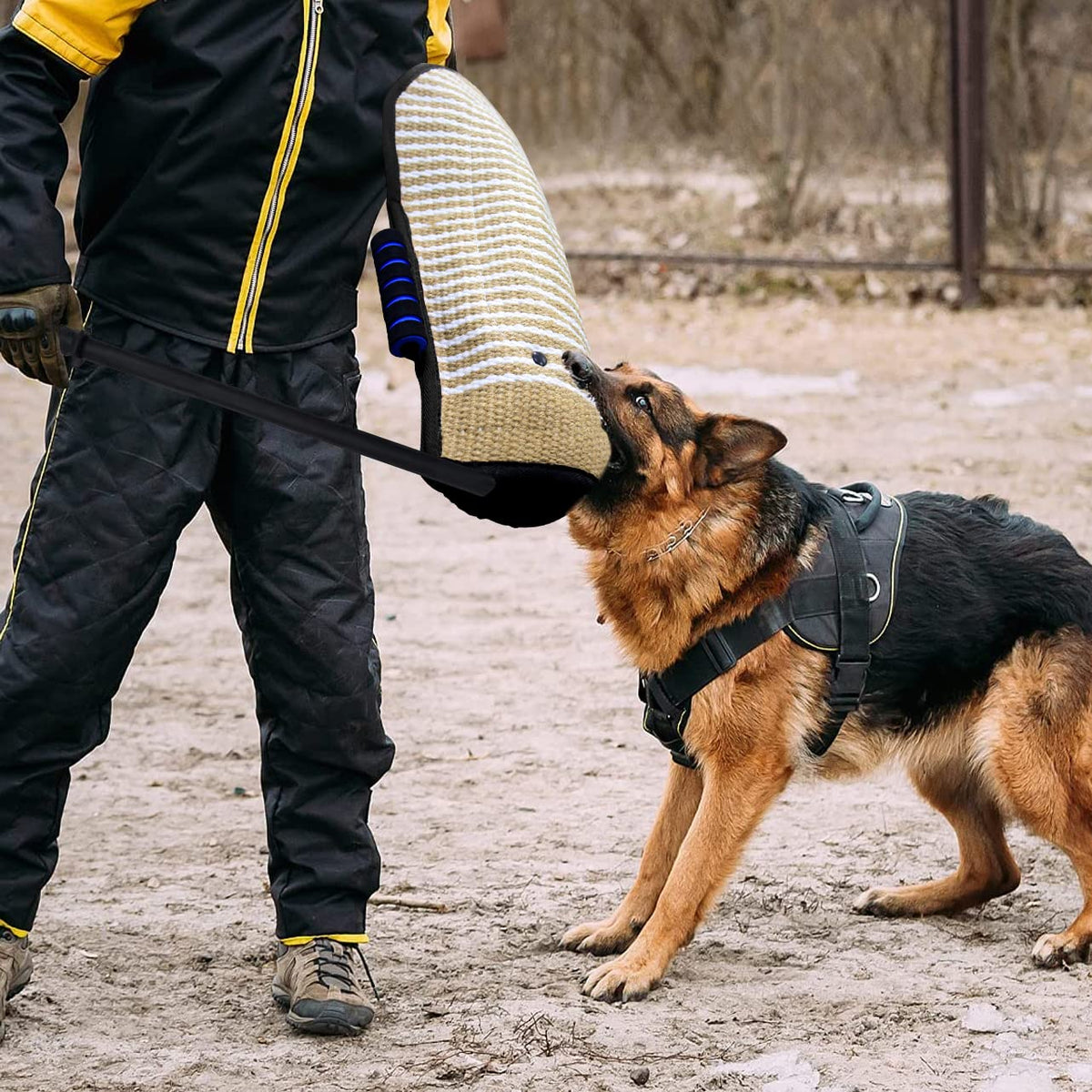 MelkTemn Professional Dog Bite Training Set Dog Bite Arm with Whip Agitation Stick for Dogs Training Protection for Pitbull German Shepherd Puppy (Black)