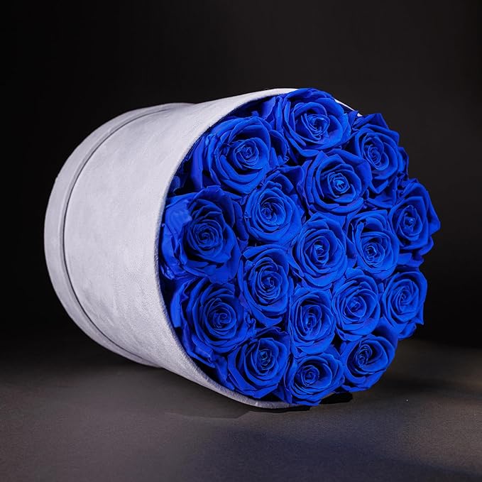 17 Flowers in a Luxury Suede Box, Birthday Gifts for Women, Preserved Flowers, Mothers Day Roses Gift for Mom, Royal Blue