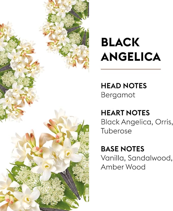 MAISON BERGER - Black Angelica - Lampe Berger Fragrance Refill for Home Fragrance Oil Diffuser - Air Freshener - 33.8 Fluid Ounces - 1 Liter