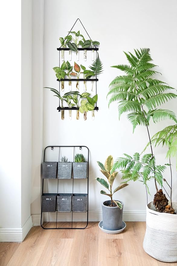 Mkono 3 Tiered Wall Hanging Plant Terrarium with Wooden Stand Mini Test Tube Flower Vase Glass Planter for Hydroponic Plant Cutting Home Garden Office Decor Gift