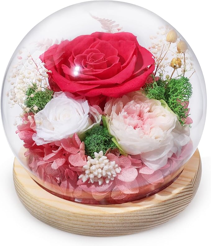FIACO Preserved Rose Birthday Gift for Women Forever Fresh Flowers for Prime Delivery Gift for Mom Grandma Wife Valentines Mothers Day Christmas Anniversary Eternal Roses in Glass Dome