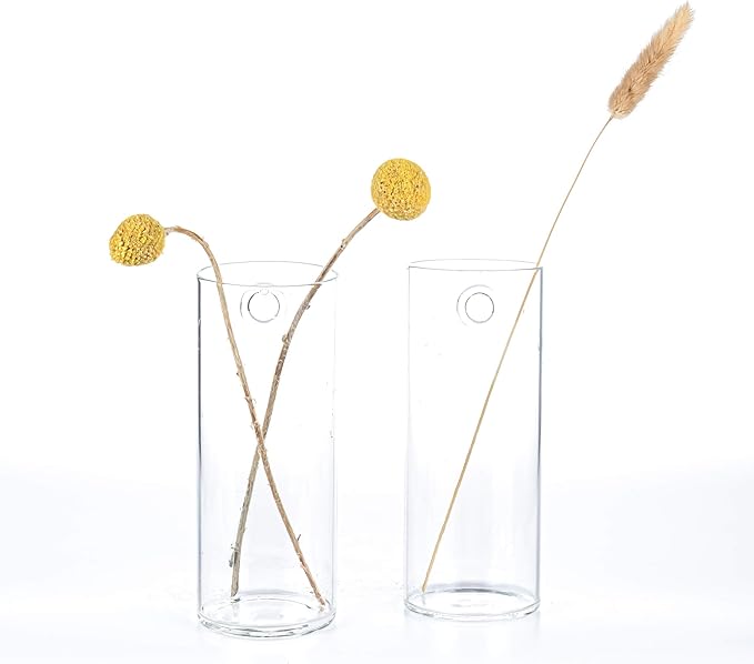 Kingbuy Glass Tube Wall Planter Propagation Station - 4 Pack Terrarium Cylinder Wall Vase with Plant Holder Hydroponic Planter for Home Kitchen Office Decor, Perfect Plant Lover Gifts (Short Cylinder)