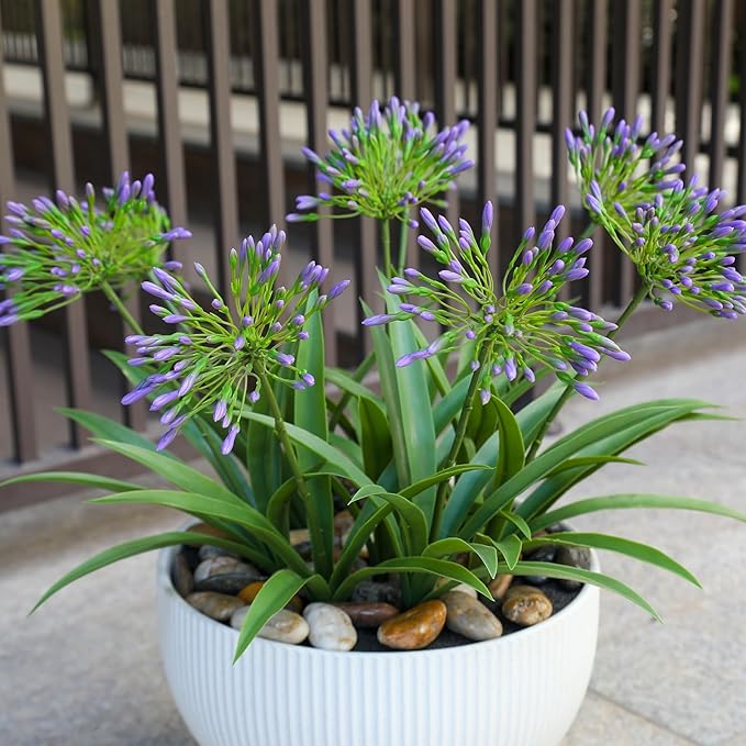 Artificial Flowers Plants for Outdoor Planters 8 Bundles Agapanthus Purple Flower Large Spring Summer Decoration 18.9 in Look Real Plasic Plant Agapanthus for Front Porch Decor