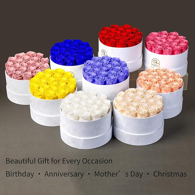 Gifts for Women Preserved Roses Flower Box, Luxury Velvet Box with 20 Roses, Preserved Flowers, Romantic Gift for Her, Wife, Girlfriend, Birthday Anniversary Christmas (Pink)