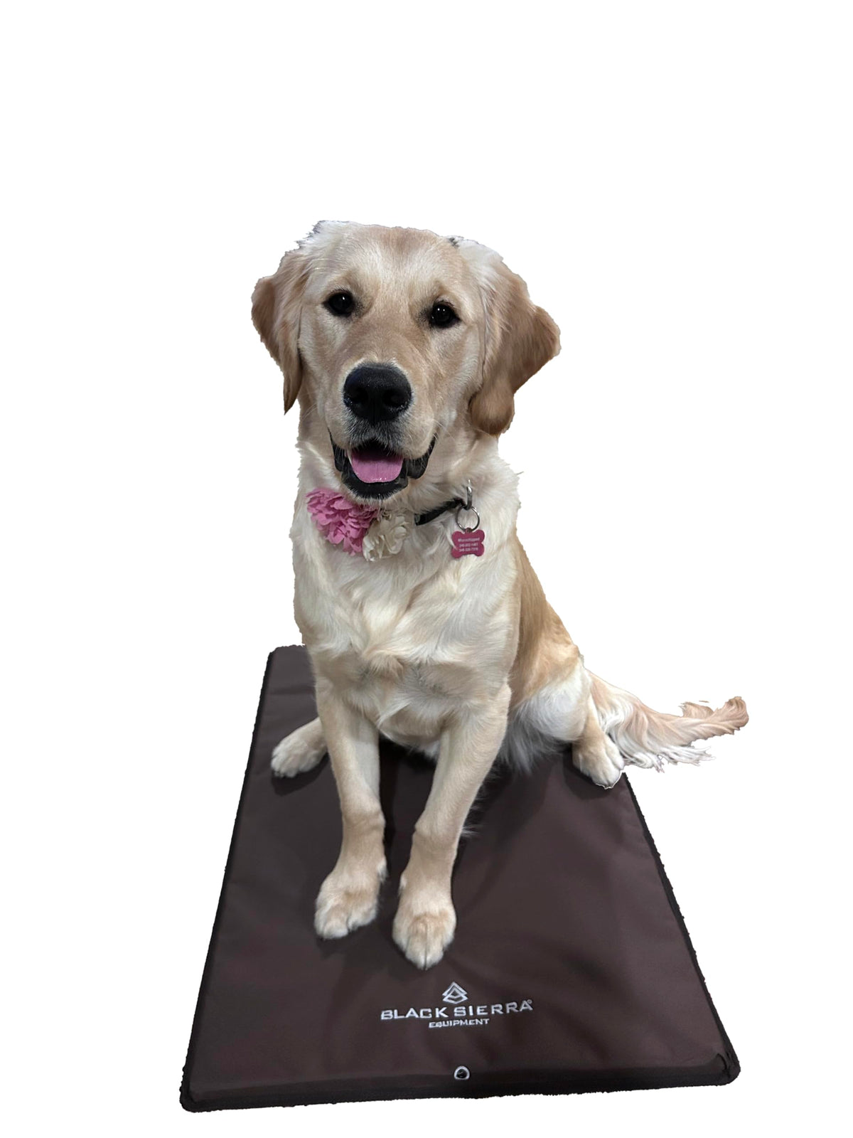 Black Sierra Large Dog Kennel Pad, 1 Inch Thick Padding Measures 30" x 18", Water Resistant Crate Cushion for Hunting or Travel, Durable and Slip Resistant Pet Bedding Mat