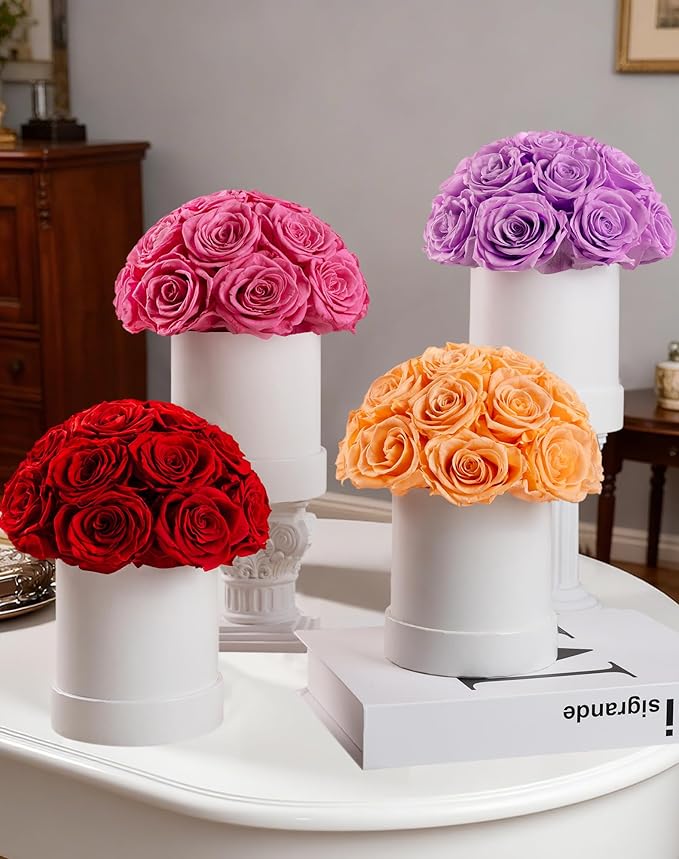 Preserved Roses Dome in a Box, Forever Real Roses Decor, Eternal Flowers for Delivery Prime, Best Gifts Birthday, Wedding, Anniversary, Mother's Day, Christmas for Her, 18-Pieces (Pink)