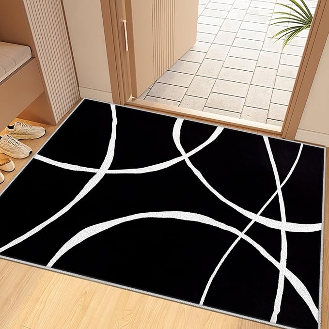 Black and White Rugs, Abstract Rug, Modern Minimalist Rug, Curved Line Design Carpet, Black and White Abstract Rugs Washable Non Slip for Living Room Home Decor 4x5