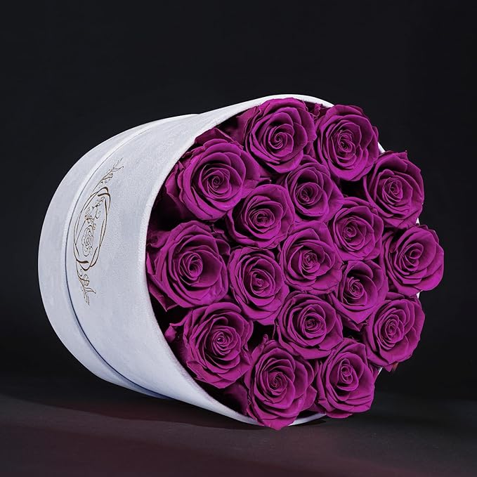 17 Flowers in a Luxury Suede Box, Birthday Gifts for Women, Preserved Flowers, Mothers Day Roses Gift for Mom, Bossy Pink