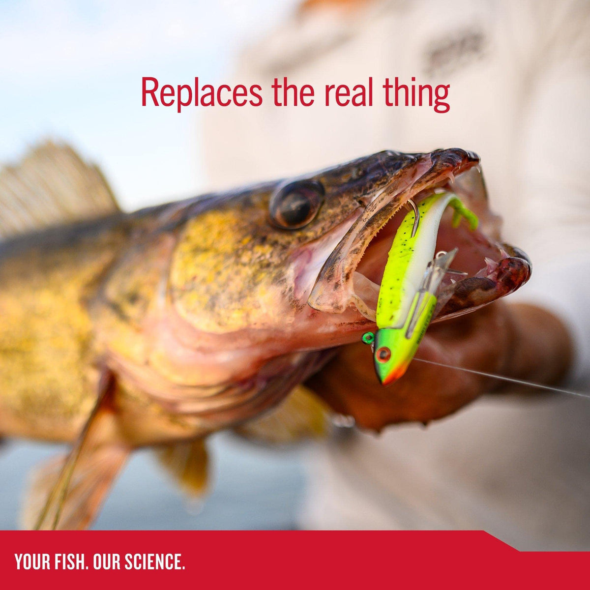 Berkley Gulp! Minnow Fishing Soft Bait, Blue Shiner
