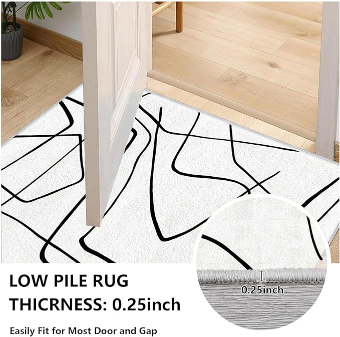 Black and White Rug - Abstract Area Rug, Black and White Rugs for Living Room, Modern Minimalist Washable Rugs, Contemporary Carpet Non Slip Home Decor, Curve 4x6