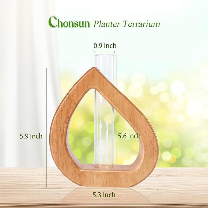 Propagation Stations Planter Terrariums Wall Hanging Test Tube Desk Decorations with Wooden Stand Plant Terrarium Office Decor Gifts for Plant Lover Gifts
