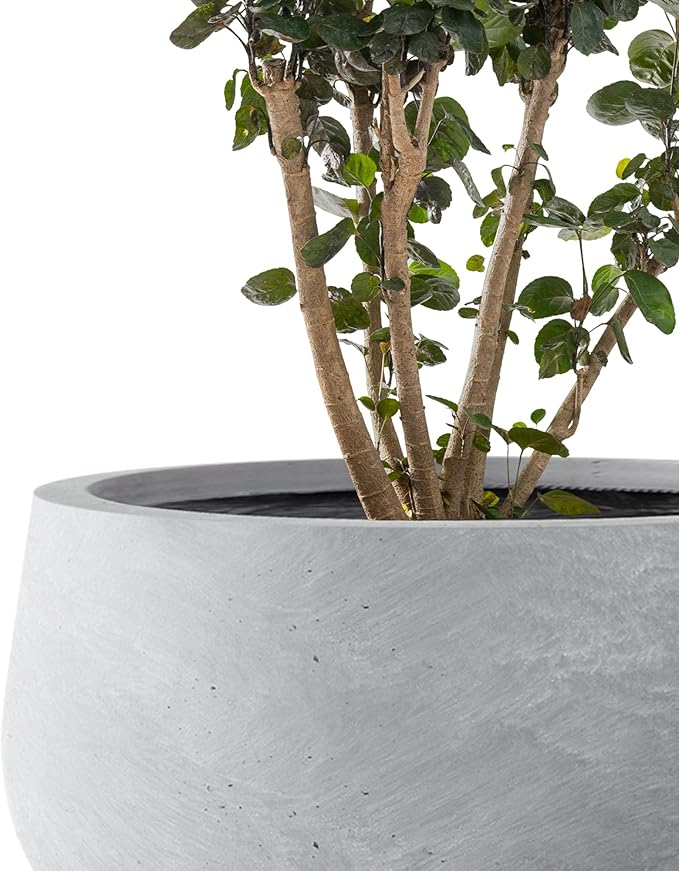 Kante 19.6",15.7",11.8" Dia Round Concrete Planters Set of 3, Cement Plant Pots with Drainage Hole and Rubber Plug for Outdoor Indoor Garden Home, Modern Curvaceous Design, Gray