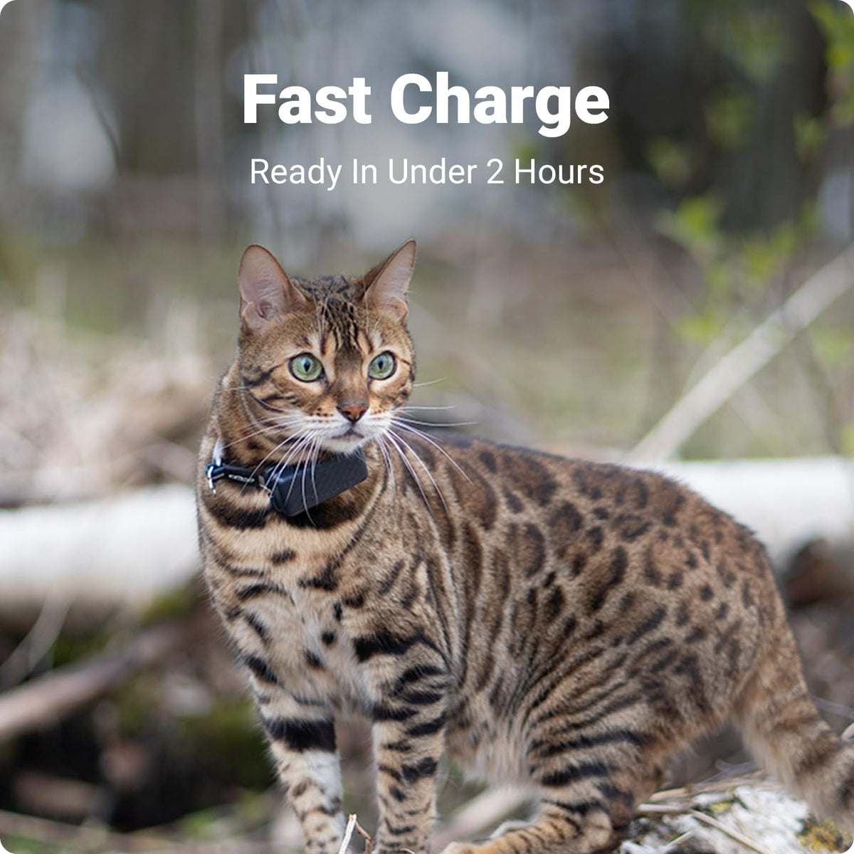 Tractive GPS Cat Mini Charger Cable - Fast Charging Solution