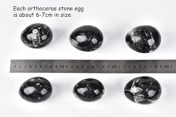 AMOYSTONE Orthoceras Stone Egg Black with Natural Stone Base for Healing Reiki Home Decors Medium, Single Height 2.5-3"