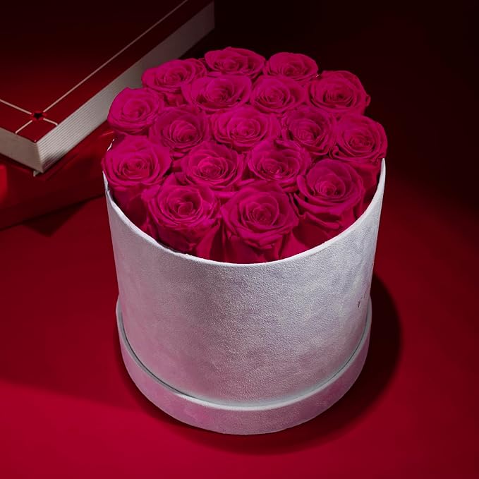 17 Flowers in a Luxury Suede Box, Birthday Gifts for Women, Preserved Flowers, Mothers Day Roses Gift for Mom, Hot Pink